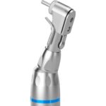 آنگل ناخنکی سیکادا _ Cicada - تصویر 3