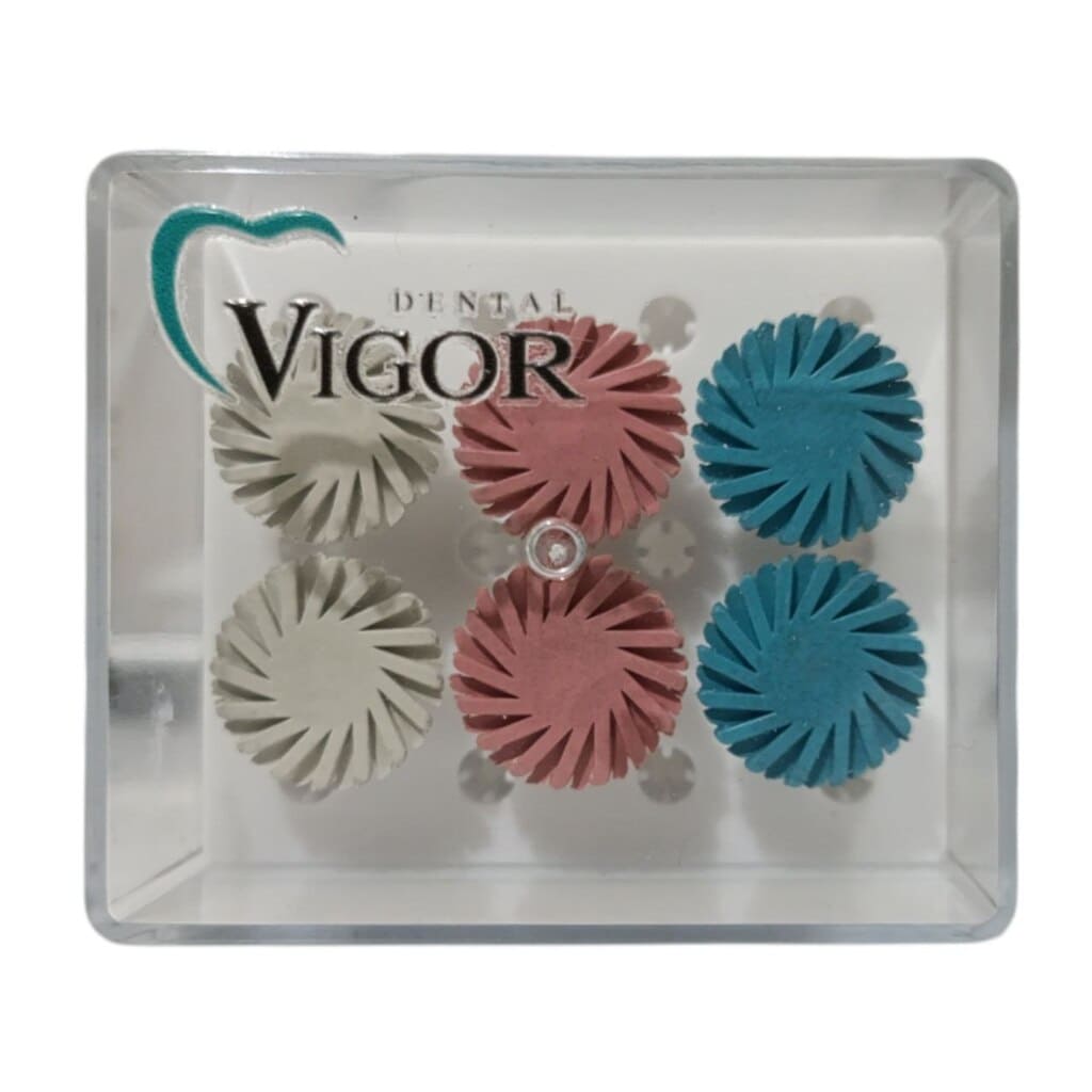 دیسک خورشیدی ویگور _ Vigor