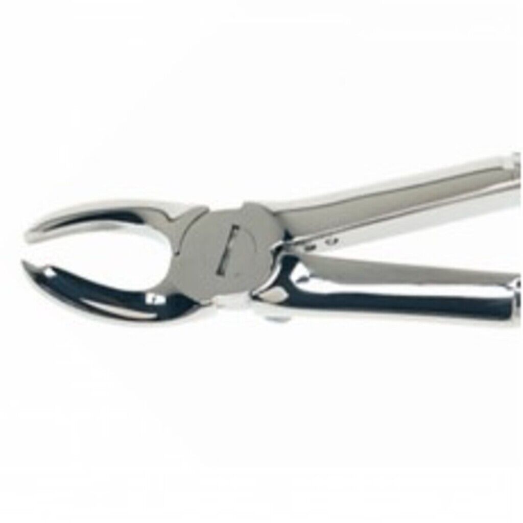 فورسپس کاهورن بالا راست برند کوشا _ Kousha full img