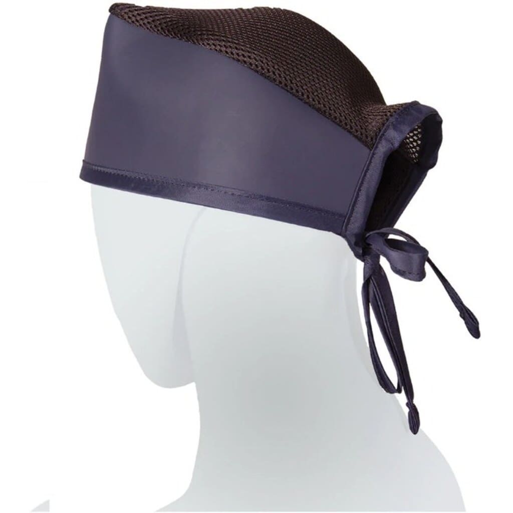 کلاه سربی عاج طب _ Ajteb back