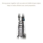 مکانیزم اپکس روتاری وودپیکر اندو اسپیس RTA Endo Space