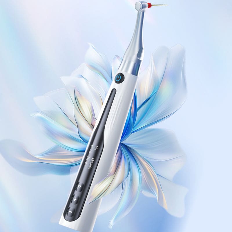 woodpeckker-RTA Endo Space